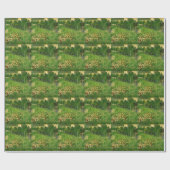 Vincent van Gogh - De tuin van Daubigny Cadeaupapier (Vlak)