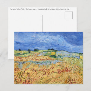 Vincent van Gogh - De velden / Vlakte bij Auvers Briefkaart