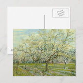 Vincent van Gogh - De Witte Orchard Briefkaart (Voorkant / Achterkant)