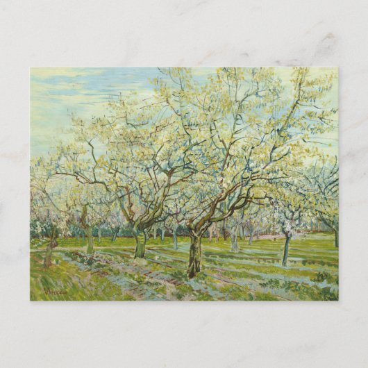 Vincent van Gogh - De Witte Orchard Briefkaart (Voorkant)