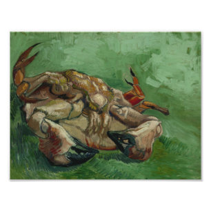 Vincent van Gogh, een krab op zijn rug Foto Afdruk