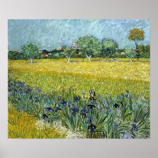 Vincent van Gogh Field of Flowers bij Arles Poster (Voorkant)