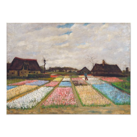 Vincent van Gogh - Flower Beds in Nederland Foto Afdruk (Voorkant)