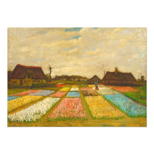 Vincent van Gogh Flower Beds in Nederland Foto Afdruk (Voorkant)
