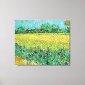 Vincent van Gogh - Gebied met Irises bij Arles Canvas Afdruk (Voorkant)