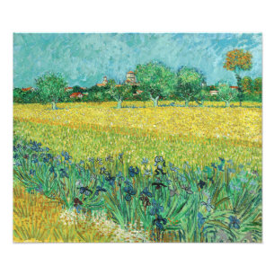 Vincent van Gogh - Gebied met Irises bij Arles Foto Afdruk