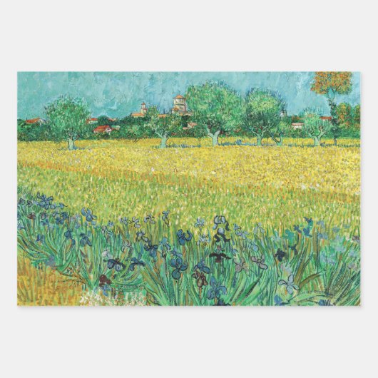 Vincent van Gogh - Gebied met Irises bij Arles Inpakpapier Vel (Voorkant 2)