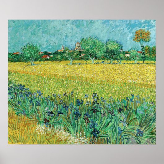 Vincent van Gogh - Gebied met Irises bij Arles Poster (Voorkant)