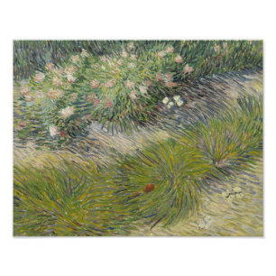 Vincent van Gogh - Grass en Butterflies Foto Afdruk