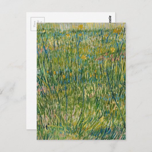 Vincent van Gogh - grasspatlap Briefkaart (Voorkant / Achterkant)