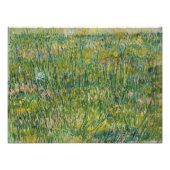 Vincent van Gogh - grasspatlap Foto Afdruk (Voorkant)