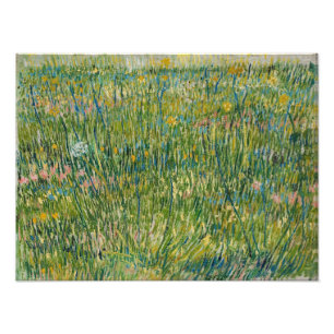 Vincent van Gogh - grasspatlap Foto Afdruk