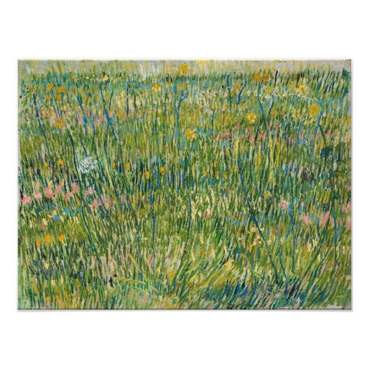 Vincent van Gogh - grasspatlap Foto Afdruk (Voorkant)