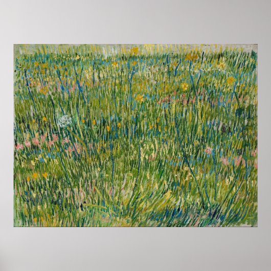 Vincent van Gogh - grasspatlap Poster (Voorkant)