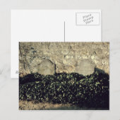 Vincent van Gogh | Graven, Vincent, Theo van Gogh Briefkaart (Voorkant / Achterkant)