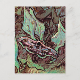 Vincent Van Gogh - Great Peacock Moth Fine Art Briefkaart