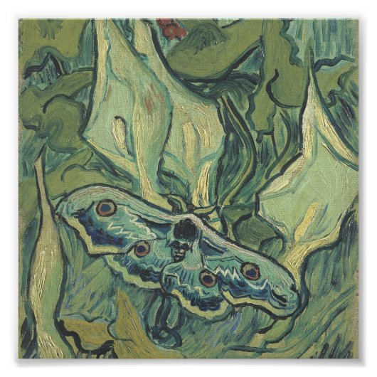 Vincent Van Gogh - Great Peacock Moth Foto Afdruk (Voorkant)