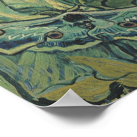 Vincent Van Gogh - Great Peacock Moth Poster (Hoek)