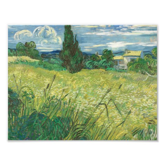 Vincent van Gogh - Green Field Foto Afdruk (Voorkant)