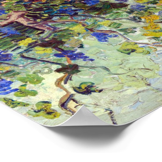 Vincent van Gogh - Green Vineyard Poster (Hoek)