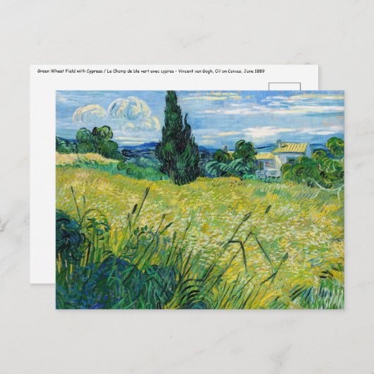 Vincent van Gogh - Green Wheat Field met Cypress Briefkaart (Voorkant / Achterkant)