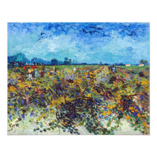 Vincent van Gogh - Groene Wijngaard Foto Afdruk
