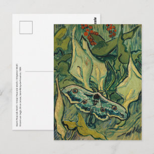 Vincent van Gogh - Grote nachtpauwoog Briefkaart