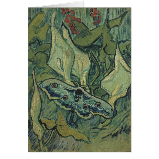Vincent van Gogh - Grote Pauw Moth (Voorkant)