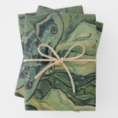 Vincent van Gogh - Grote Pauw Moth Inpakpapier Vel (In situ)