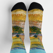 Vincent van Gogh - Harvest in La Crau Sokken (Top)
