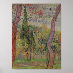 Vincent van Gogh   Het park van de Saint-Paul Poster