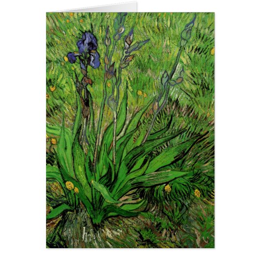 Vincent van Gogh - Iris (Voorkant)