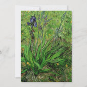 Vincent van Gogh - Iris (Voorkant)