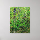 Vincent van Gogh - Iris Canvas Afdruk (Voorkant)