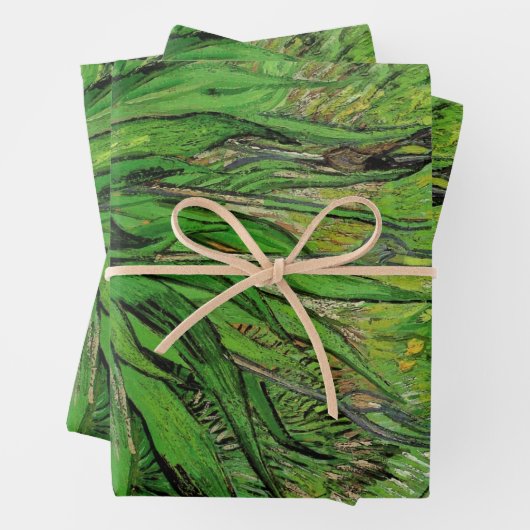 Vincent van Gogh - Iris Inpakpapier Vel (In situ)