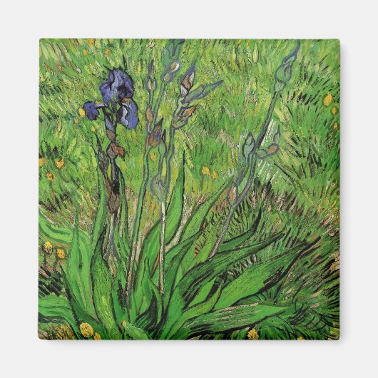 Vincent van Gogh - Iris Magneet (Voorkant)