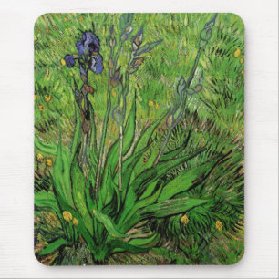 Vincent van Gogh - Iris Muismat