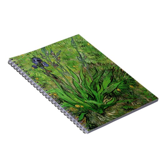 Vincent van Gogh - Iris Notitieboek (Rechterzijde)