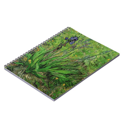 Vincent van Gogh - Iris Notitieboek (Linkerzijde)