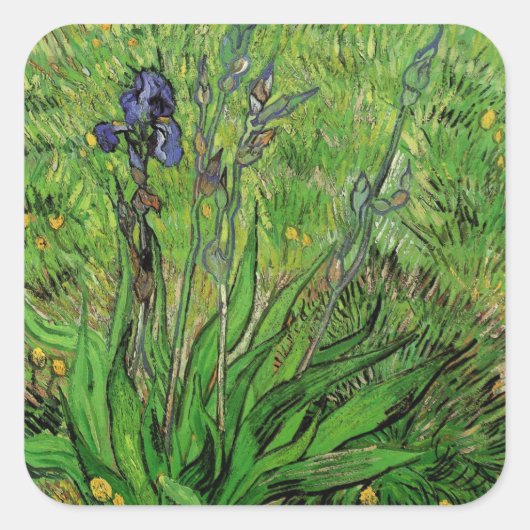 Vincent van Gogh - Iris Vierkante Sticker (Voorkant)