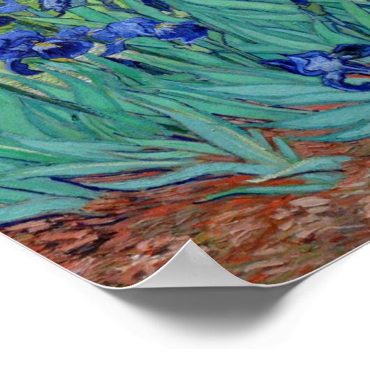 Vincent Van Gogh Irise Vibrant Flower Fine Art Poster (Hoek)