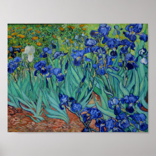 Vincent Van Gogh Irise Vibrant Flower Fine Art Poster