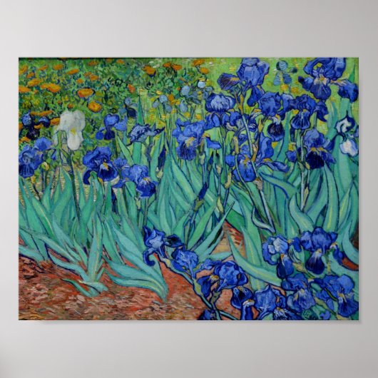 Vincent Van Gogh Irise Vibrant Flower Fine Art Poster (Voorkant)