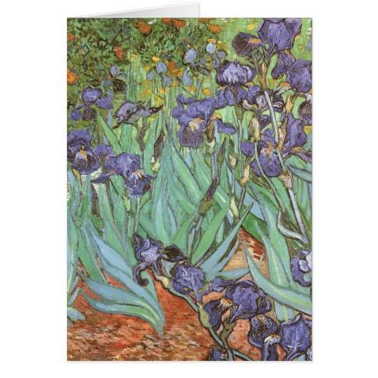Vincent van Gogh - Irises (Voorkant)