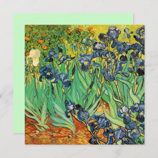 Vincent van Gogh, Irises (Voorkant / Achterkant)