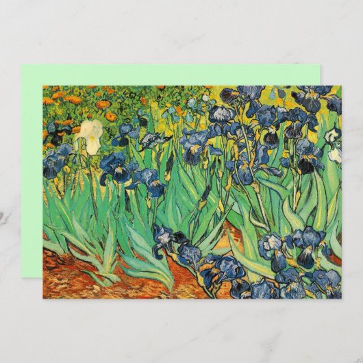 Vincent van Gogh, Irises (Voorkant / Achterkant)
