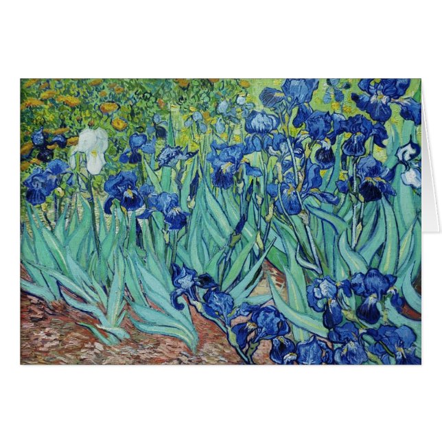 Vincent van Gogh Irises (Voorkant Horizontaal)