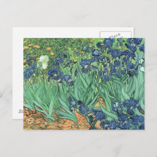 Vincent van Gogh | Irises, 1889 Briefkaart (Voorkant / Achterkant)
