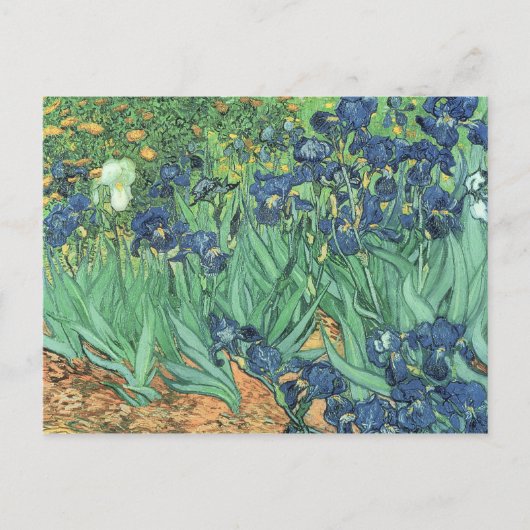 Vincent van Gogh | Irises, 1889 Briefkaart (Voorkant)
