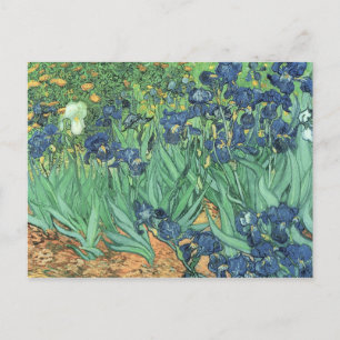 Vincent van Gogh   Irises, 1889 Briefkaart